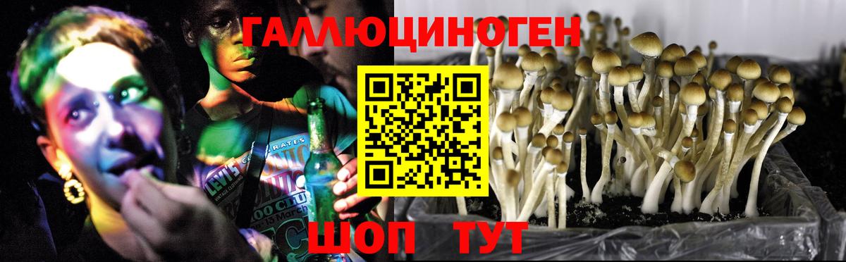 Псилоцибиновые грибы GOLDEN TEACHER  Вход с VPN  Обь 