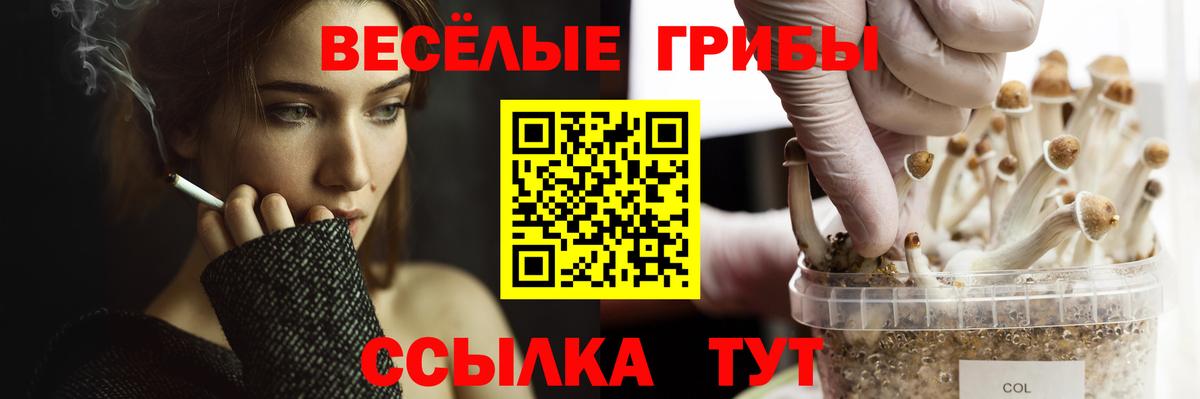 Обь  A-PVP СК   Мефедрон кристаллы  Вход с VPN  МЕТАМФЕТАМИН  Конопля  ГАШ  Кокаин 